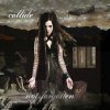collide : not forgotten